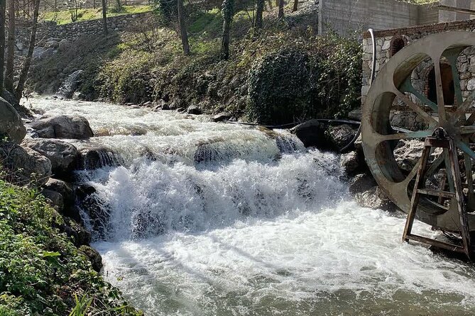 Sapanca Lake Tour with Lunch From Istanbul - Turkish Delight Factory: Tasty Break, Shopping Energy Included