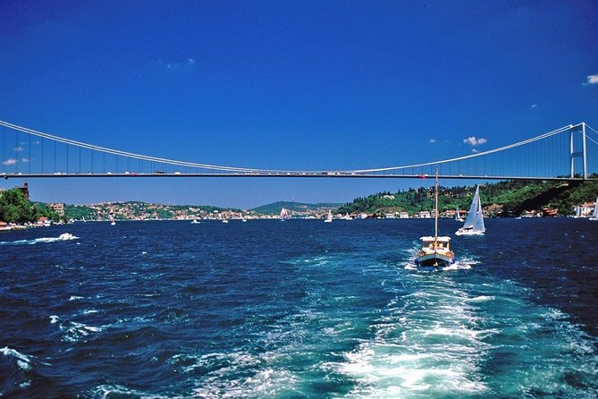 Short Guided Bosphorus and Golden Horn Boat Tour - Price and logistics: what $20.64 really buys you