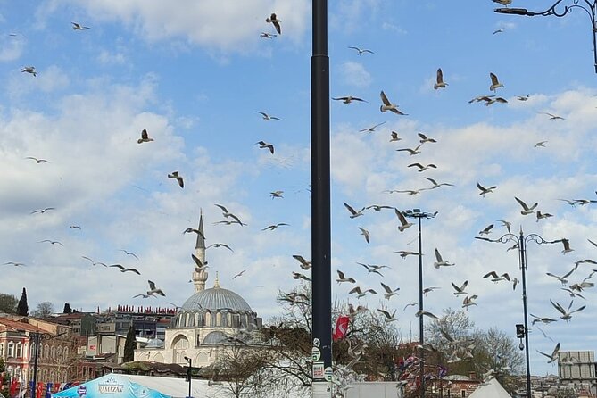Skip Lines with Local Tour Guide Taha - Hagia Sophia Grand Mosque: the 6th-century dome trick and the rules inside
