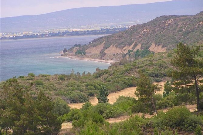 Small-Group Gallipoli Day Trip from Istanbul with Lunch and Guide - Return drive to Istanbul with a halfway refresh break