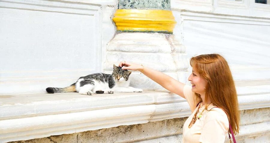 Topkapi Palace & Harem Tour + Bosphorus & Golden Horn Cruise - Two Perspectives in One Tour: Europe, Asia, and Context