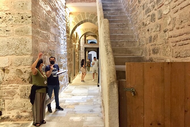 Topkapı Palace with Harem & Blue Mosque Guided Tour - Who this tour suits (and who might prefer to go on your own)
