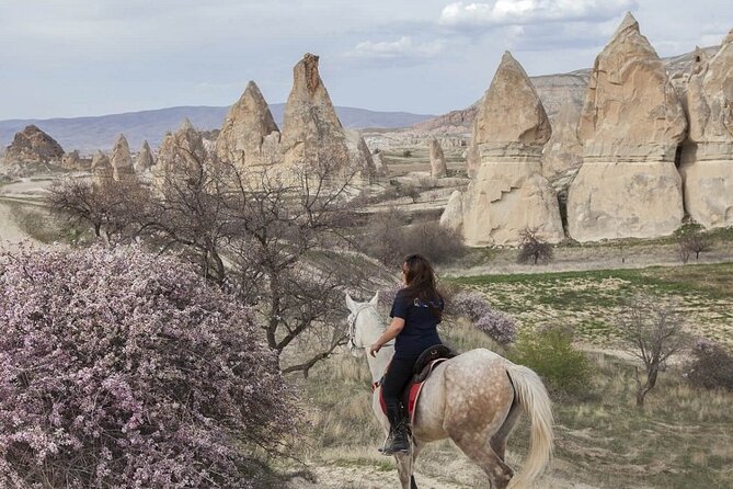 Turkey 8 Day Package - Istanbul, Cappadocia, Ephesus, Pamukkale - Cappadocia Day 1: Devrent Valley and Pasabag’s fairy-chimneys