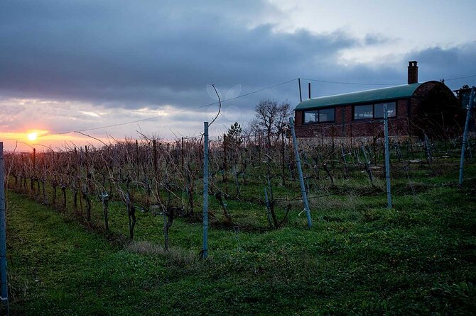 VIP Full Day Wineries Tour from Istanbul - Inside the wineries: what to expect from 3 tastings in Thrace