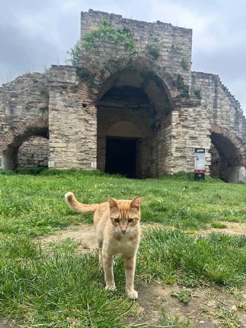 Walls of Contantinople and Byzantine Palace Tour - Who should book this Constantinople walls route