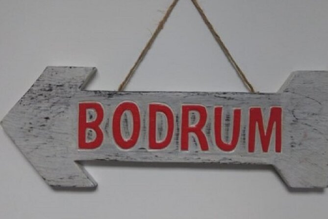 With Minivan Istanbul to Capadocia Bodrum Izmir - Who Should Book This Transfer (and Who Might Skip It)