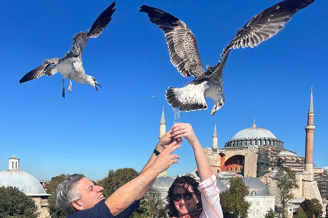 WONDERS of ISTANBUL: PRIVATE Full-Day Guided City Tour - A smart one-day route: Sultanahmet to Ottoman power
